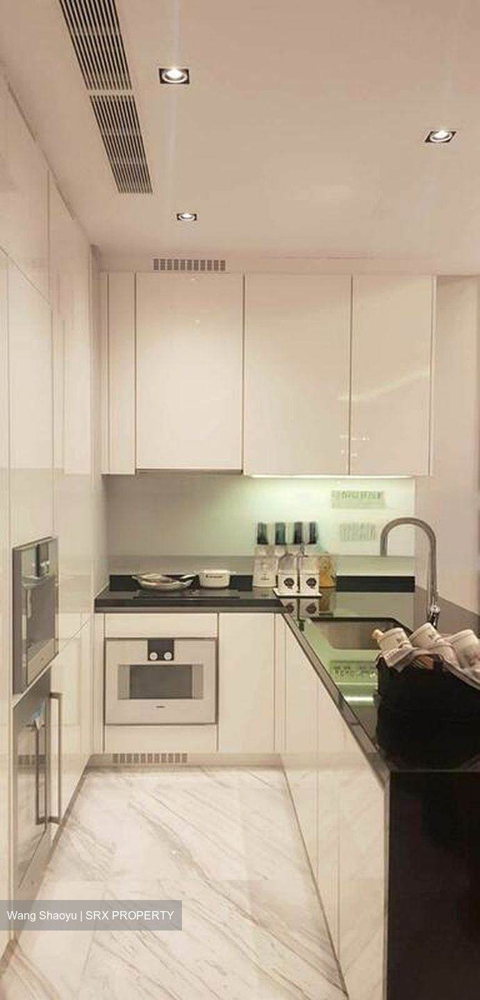 Wallich Residence  (D2), Condominium #458868381